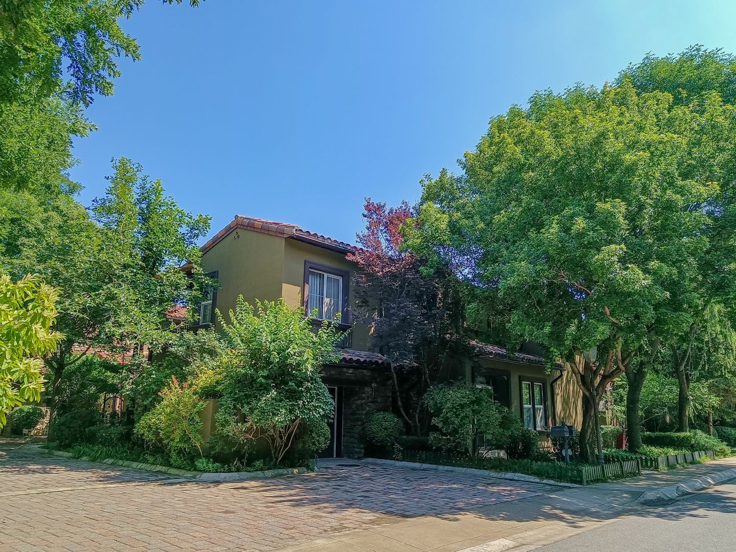 纳帕溪谷 environment