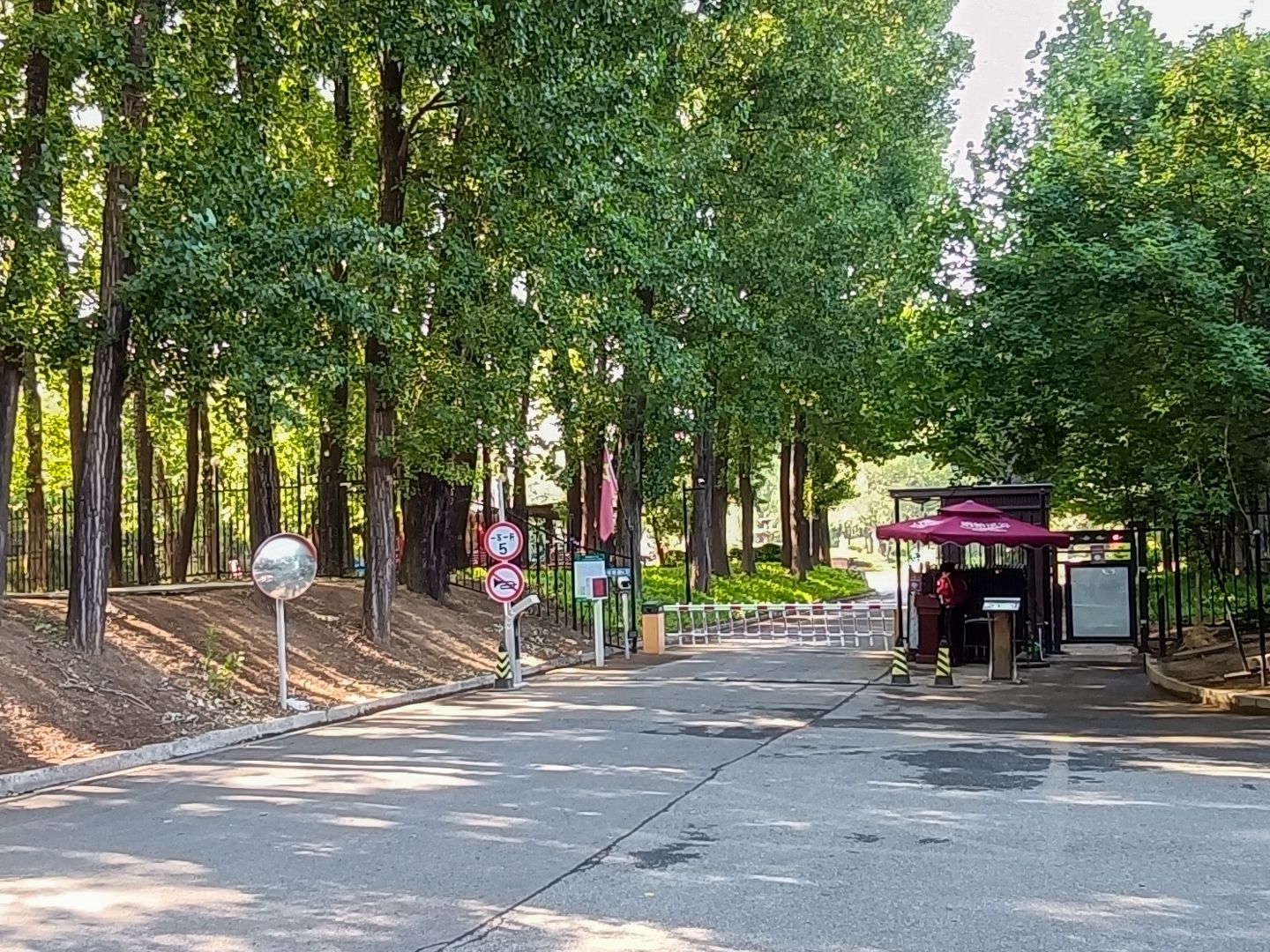 纳帕溪谷 environment