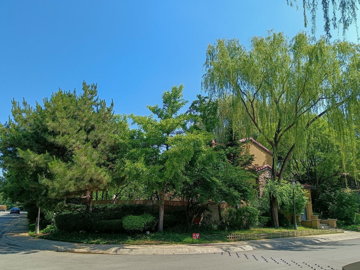 纳帕溪谷 environment