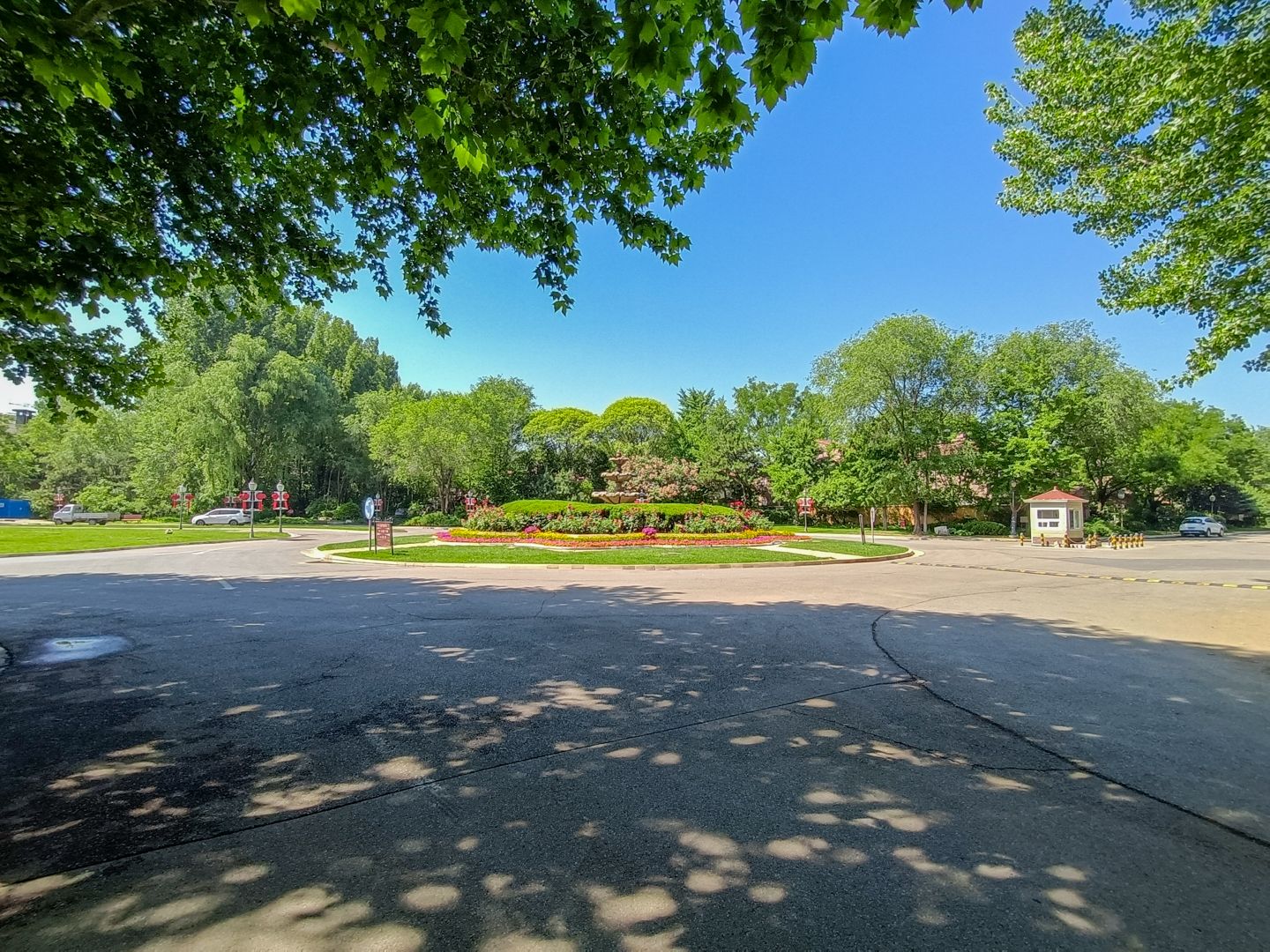 纳帕溪谷 environment