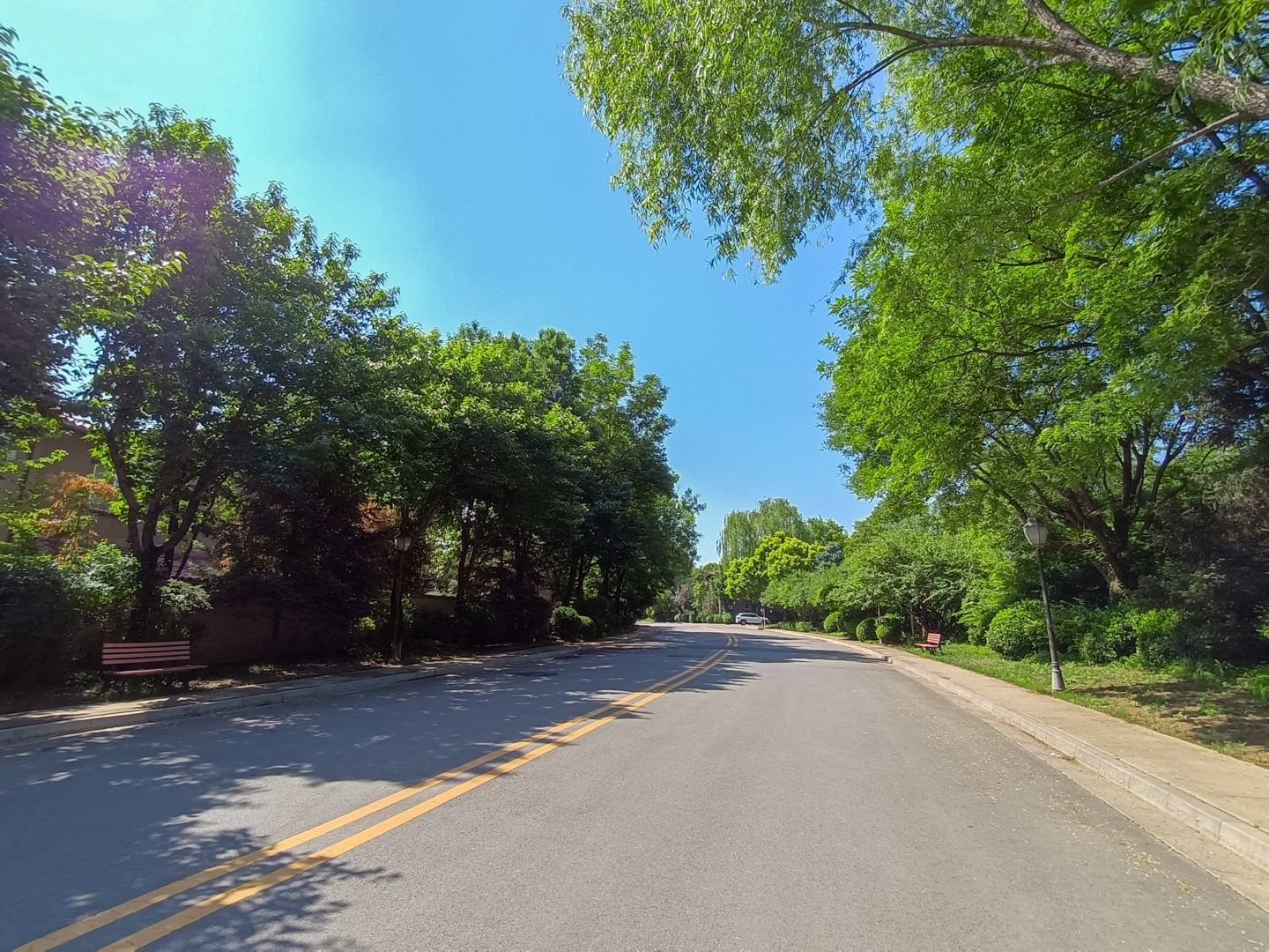 纳帕溪谷 environment