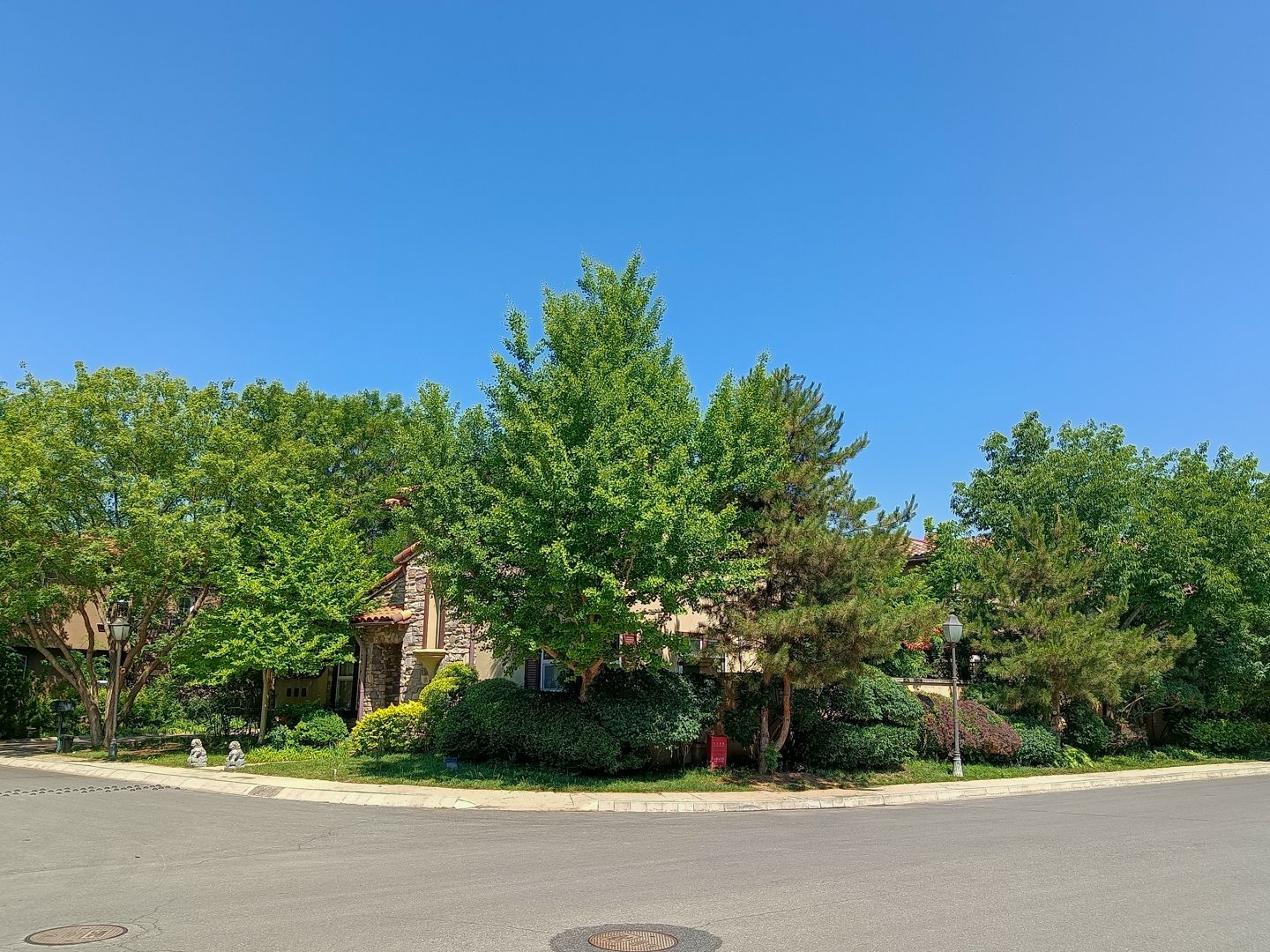 纳帕溪谷 environment