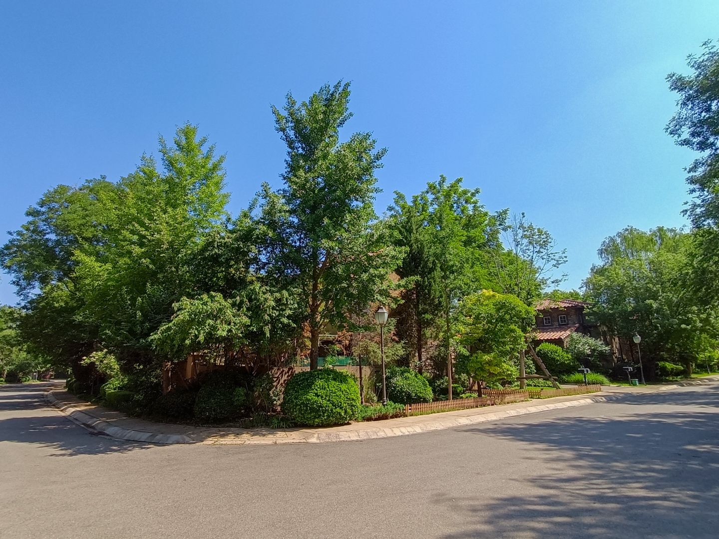 纳帕溪谷 environment