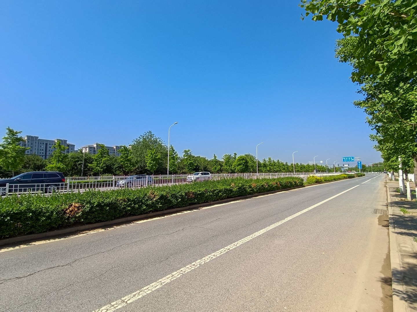 纳帕溪谷 environment