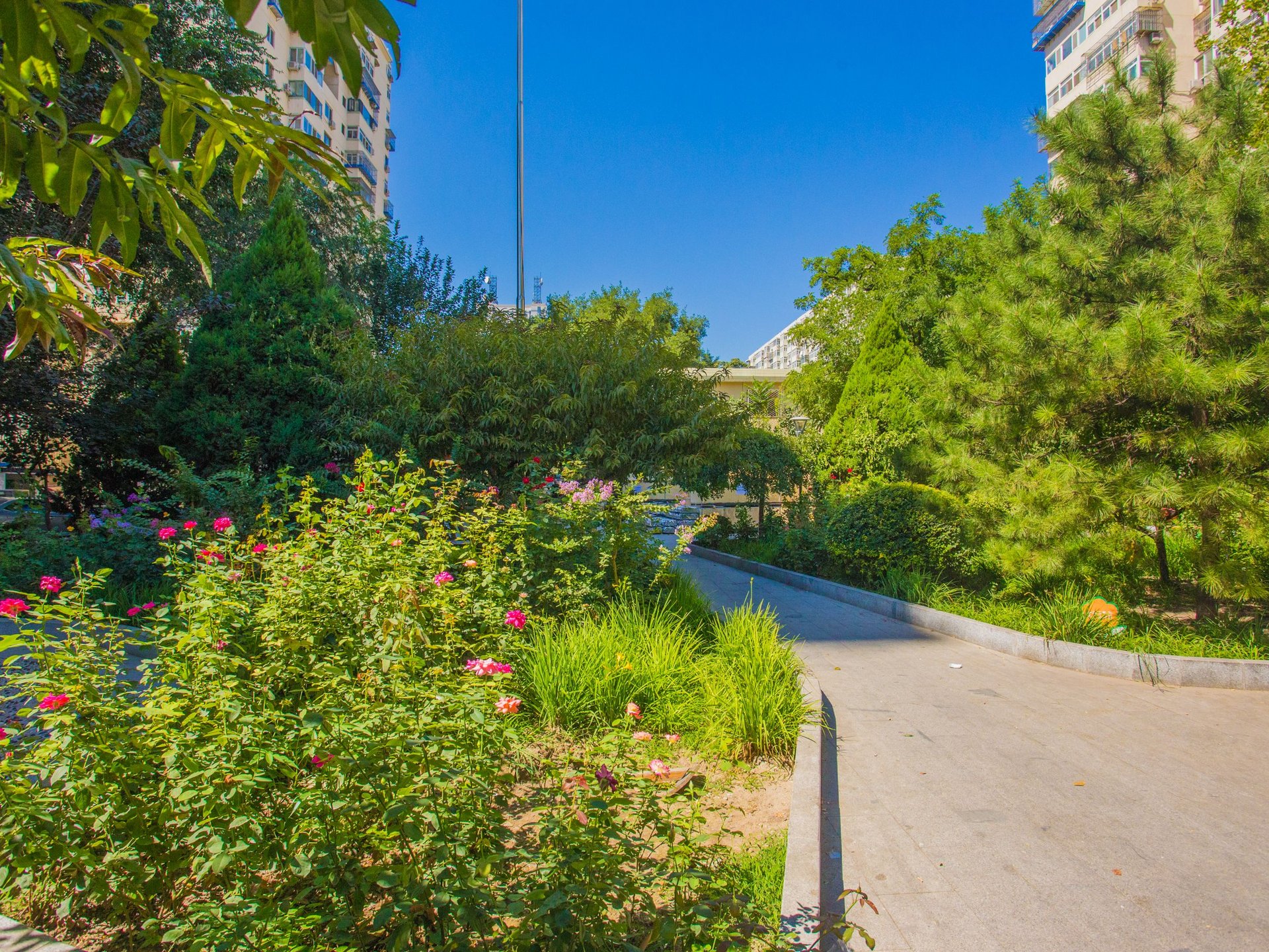 牛街西里 environment