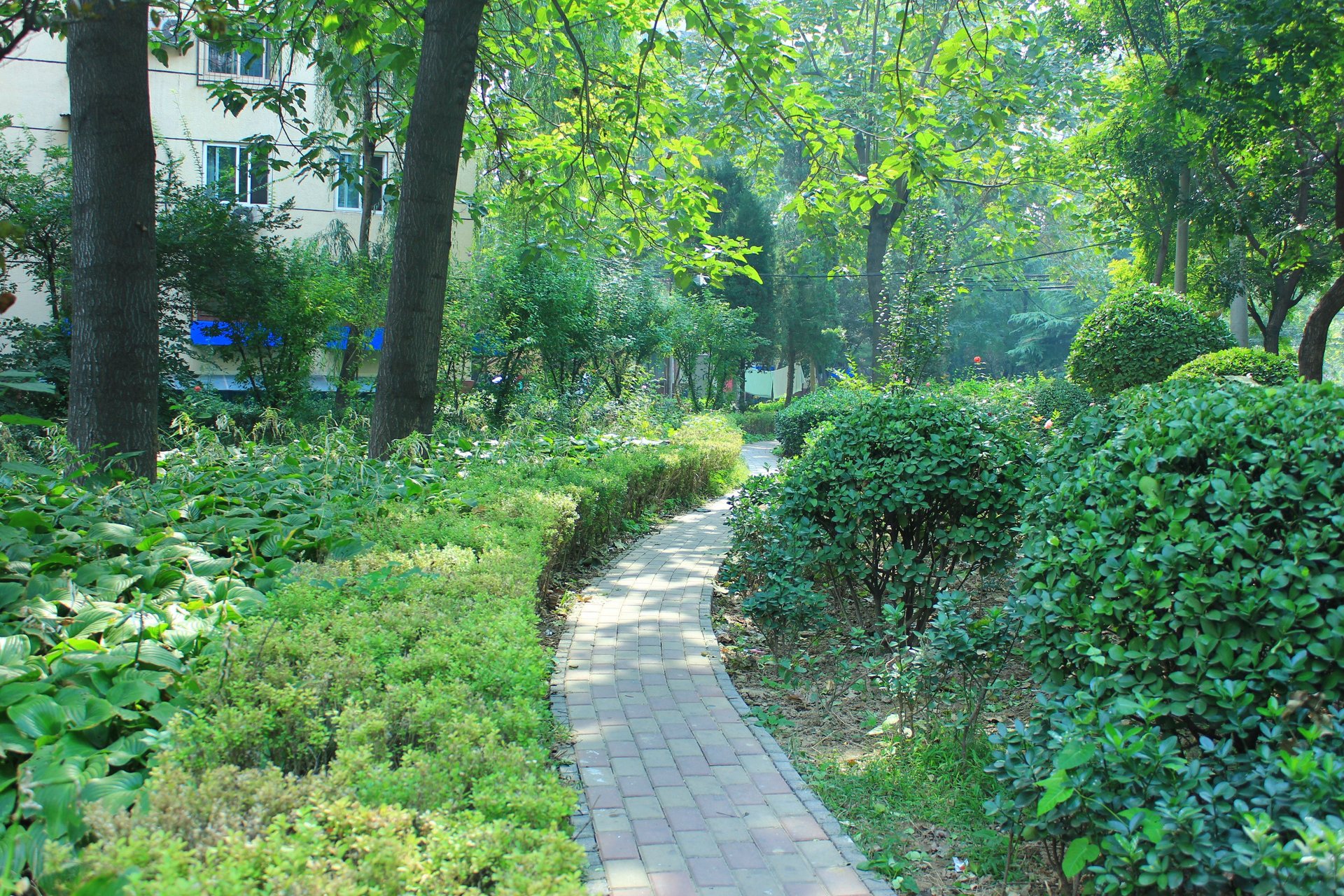 农光东里 environment