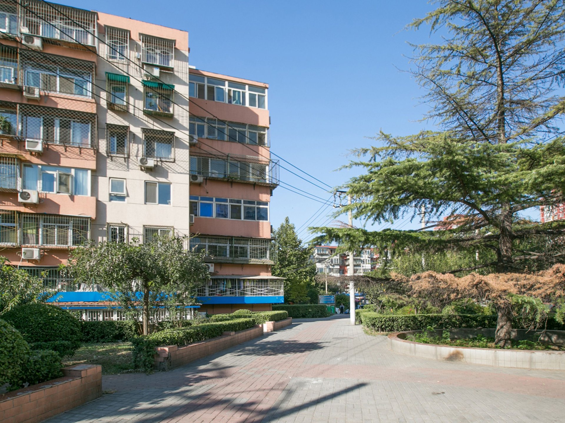 农光东里 environment