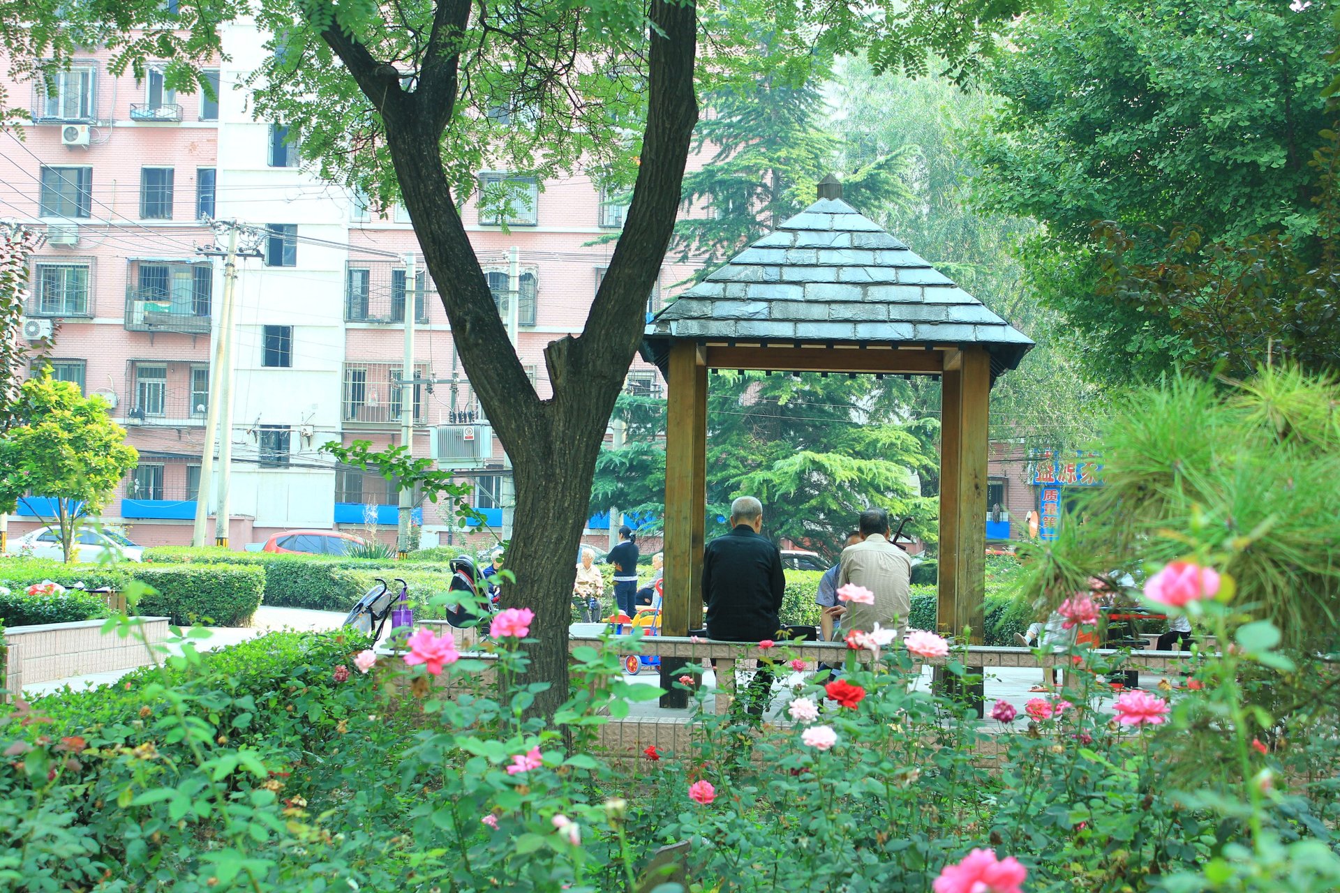 农光东里 environment