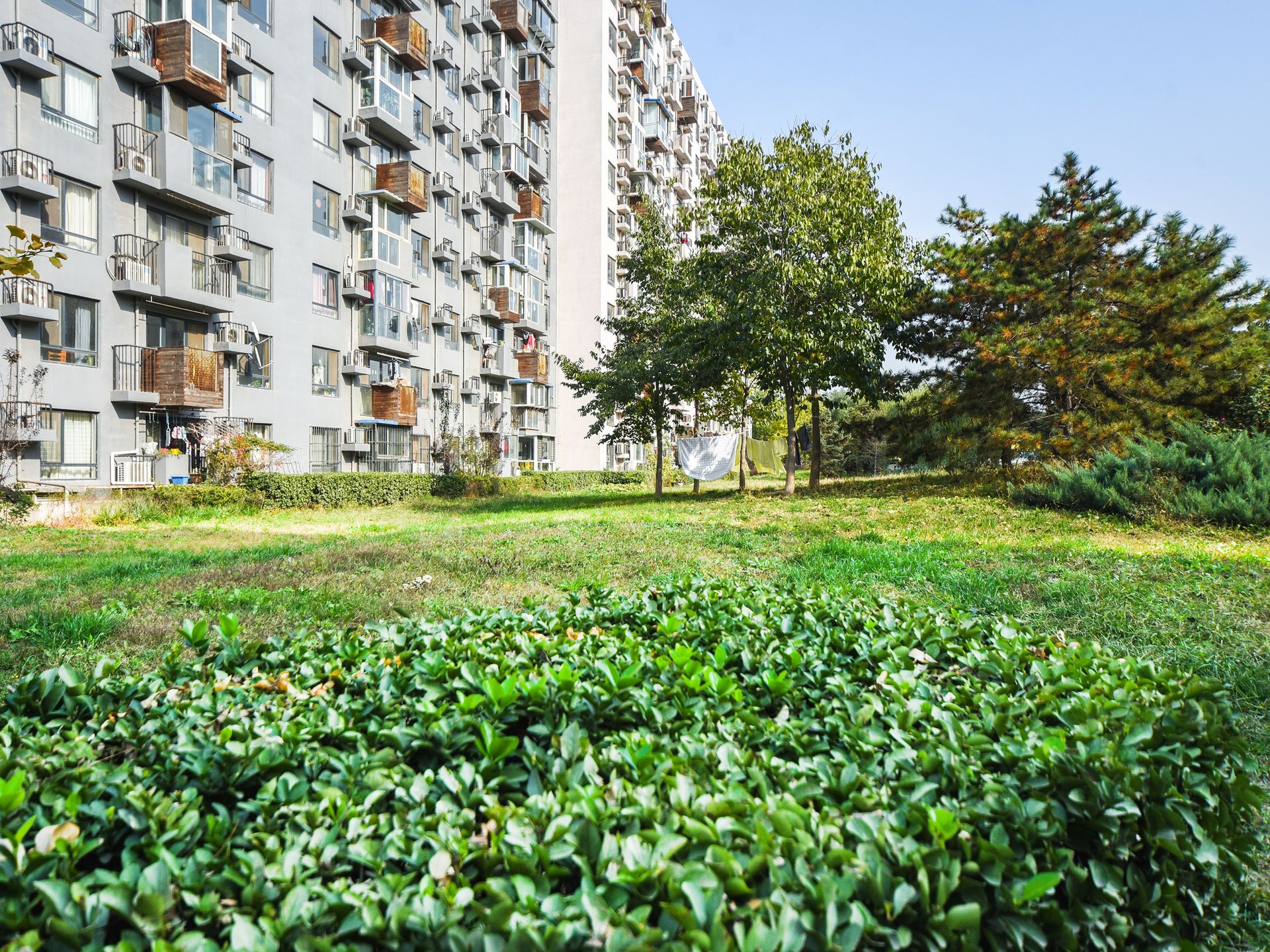 苹果派 environment