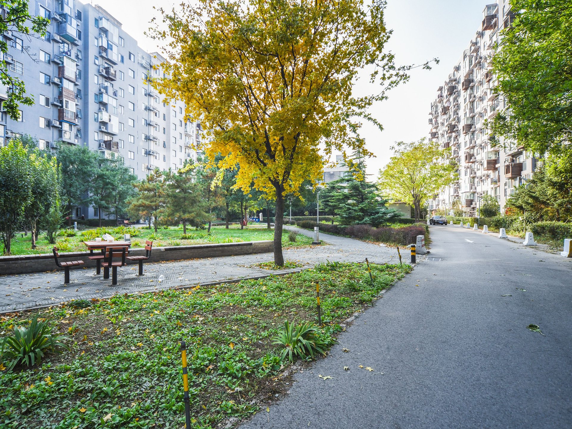 苹果派 environment