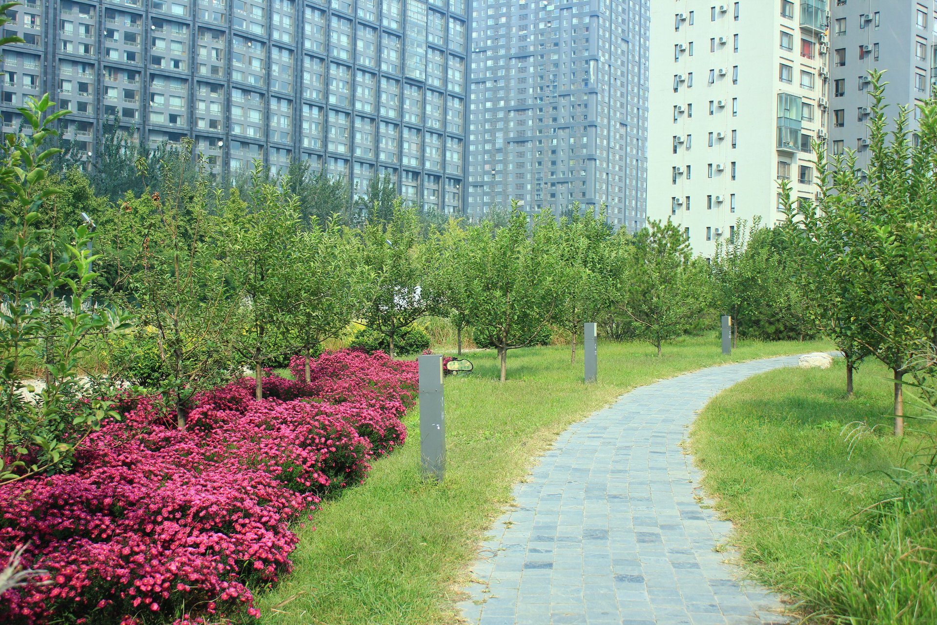 苹果社区南区 environment