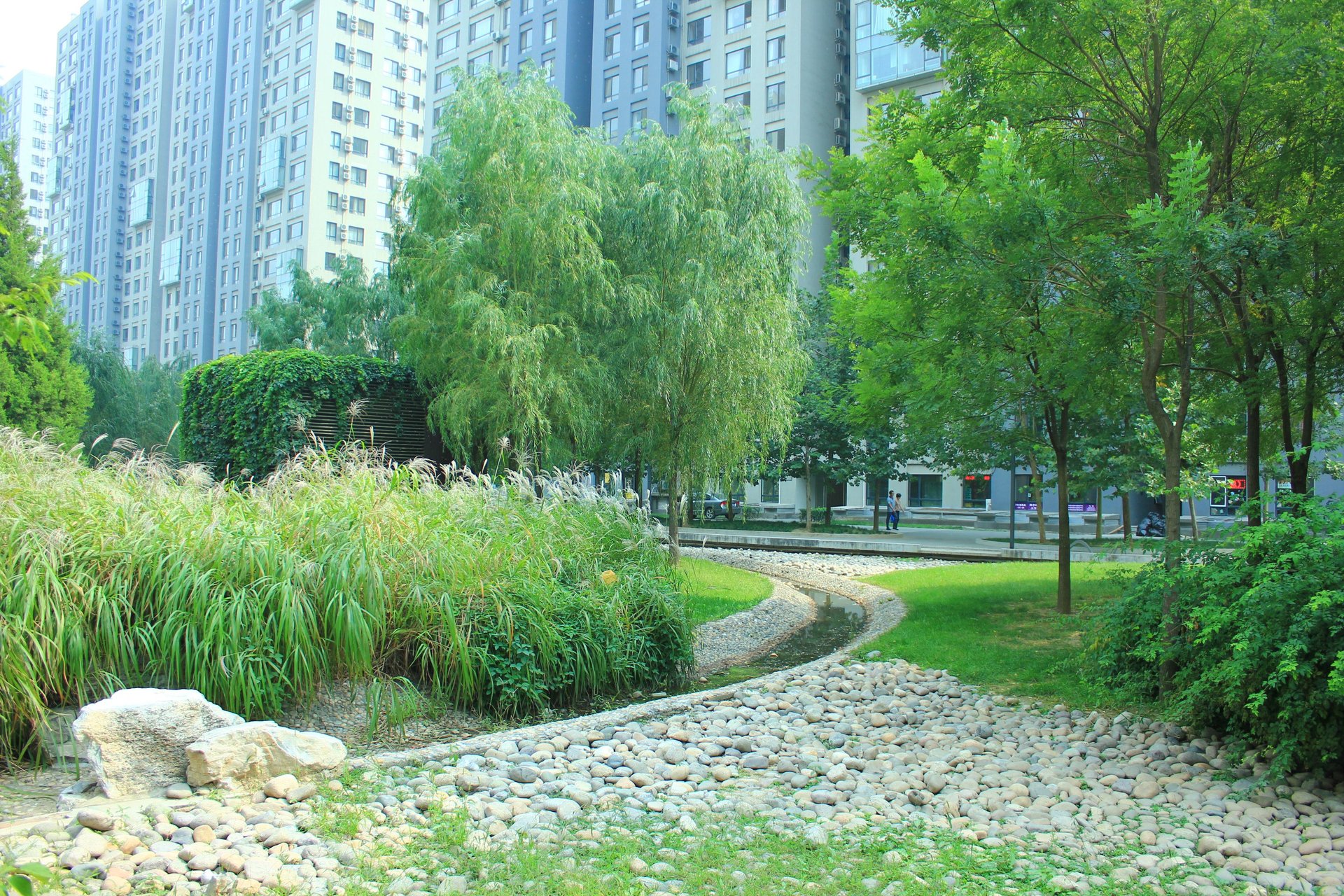 苹果社区南区 environment