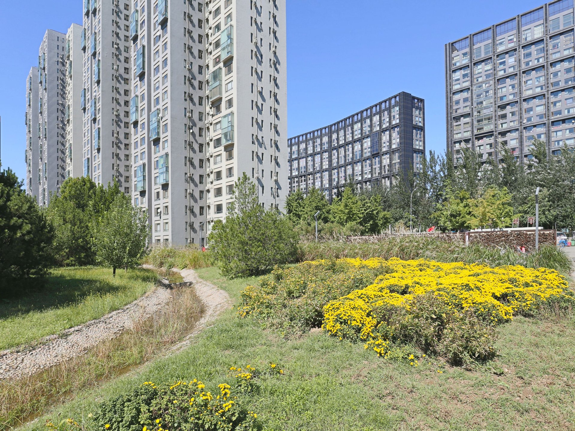 苹果社区南区 environment