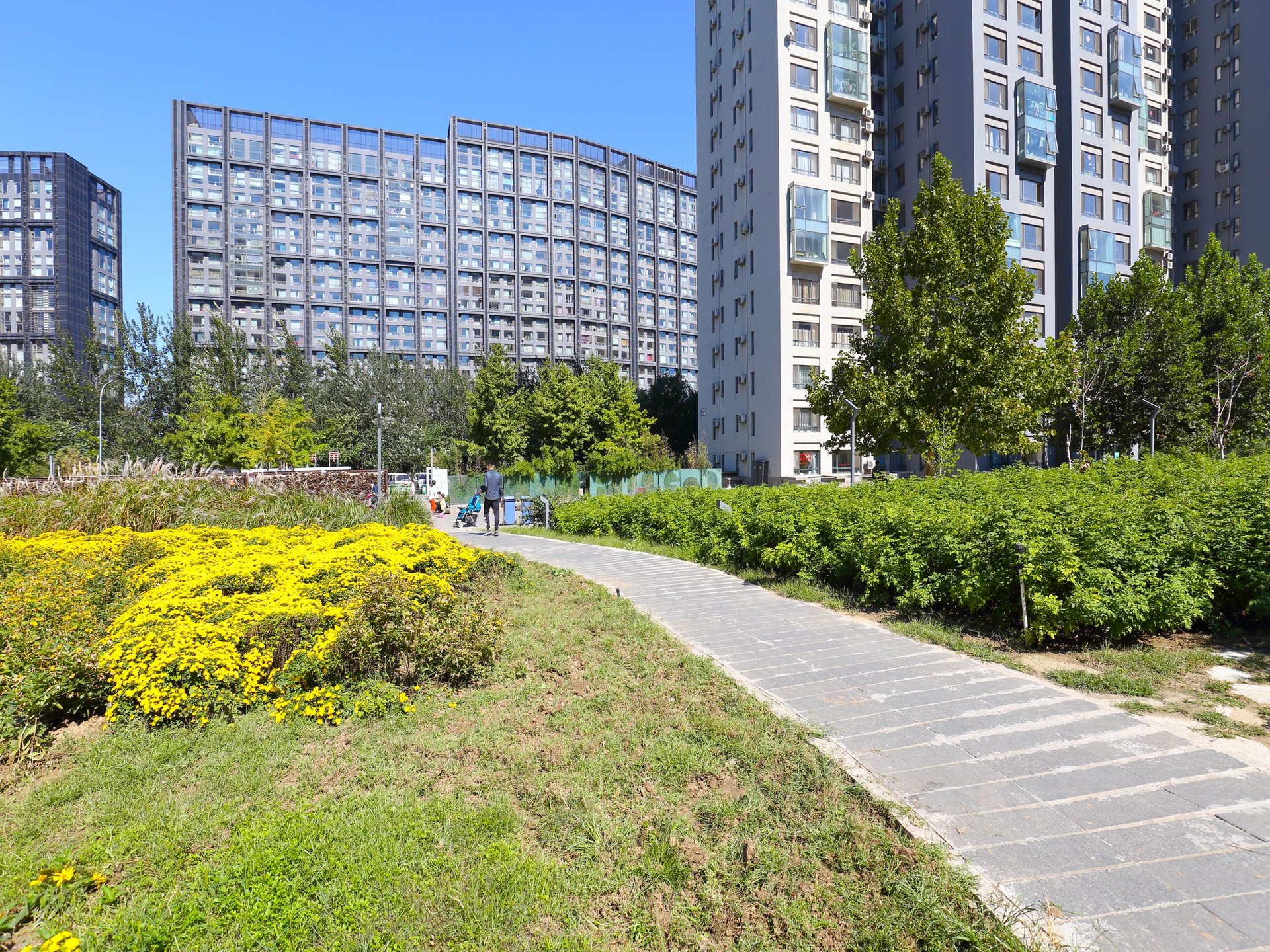 苹果社区南区 environment