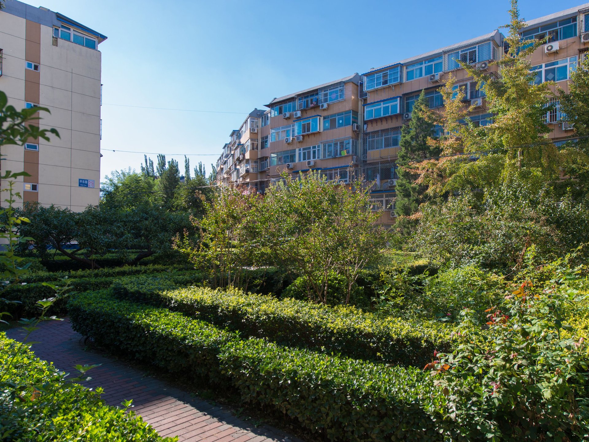 平乐园小区 environment