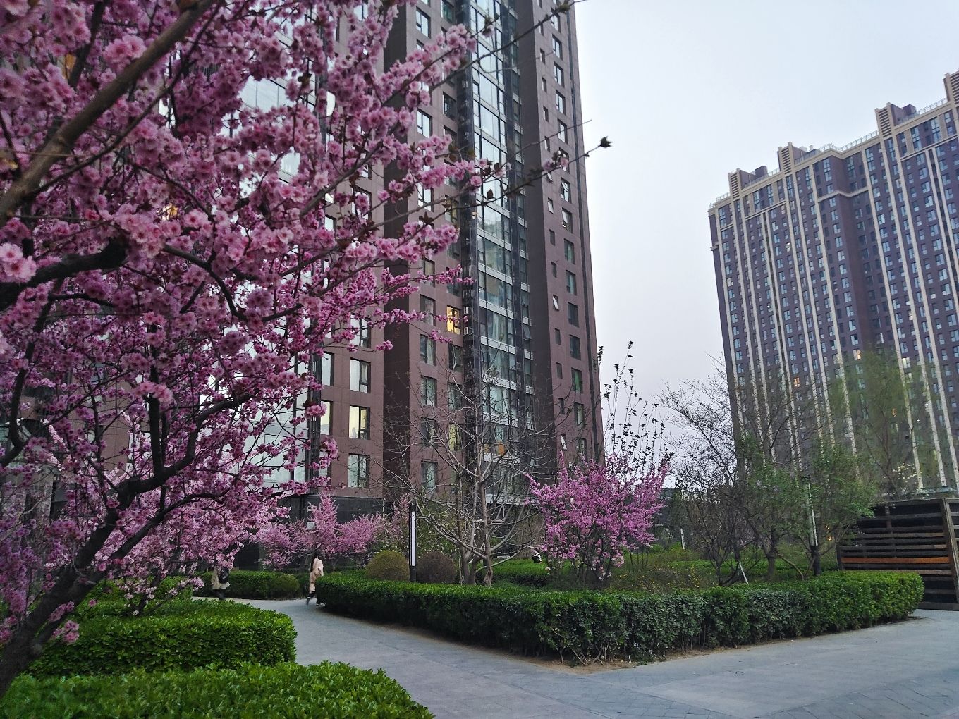 强佑清河新城府学上院 environment