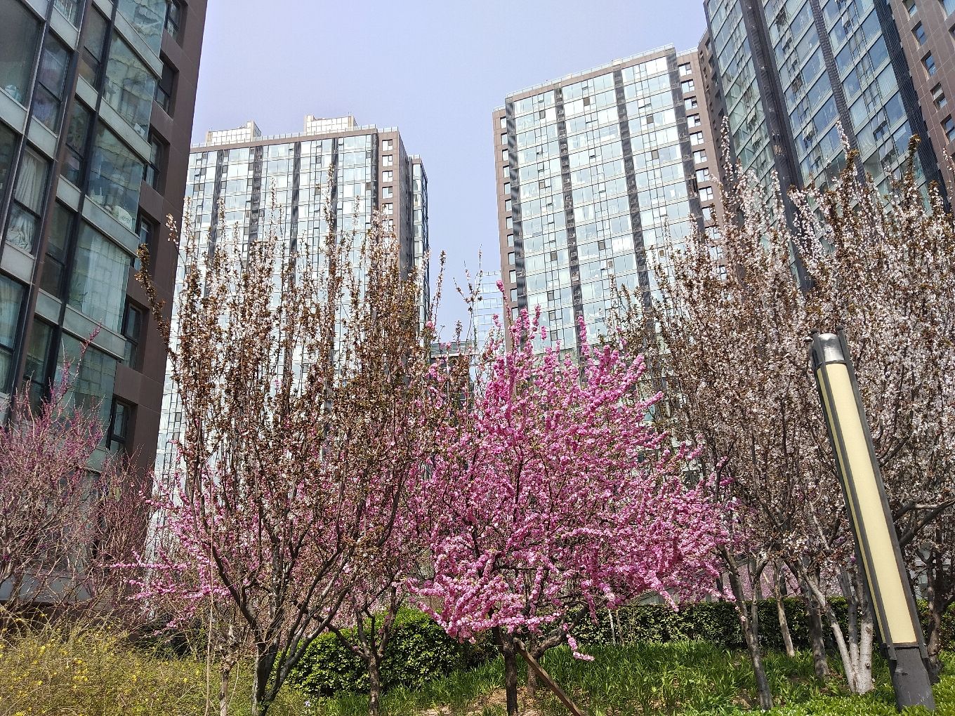 强佑清河新城府学上院 environment