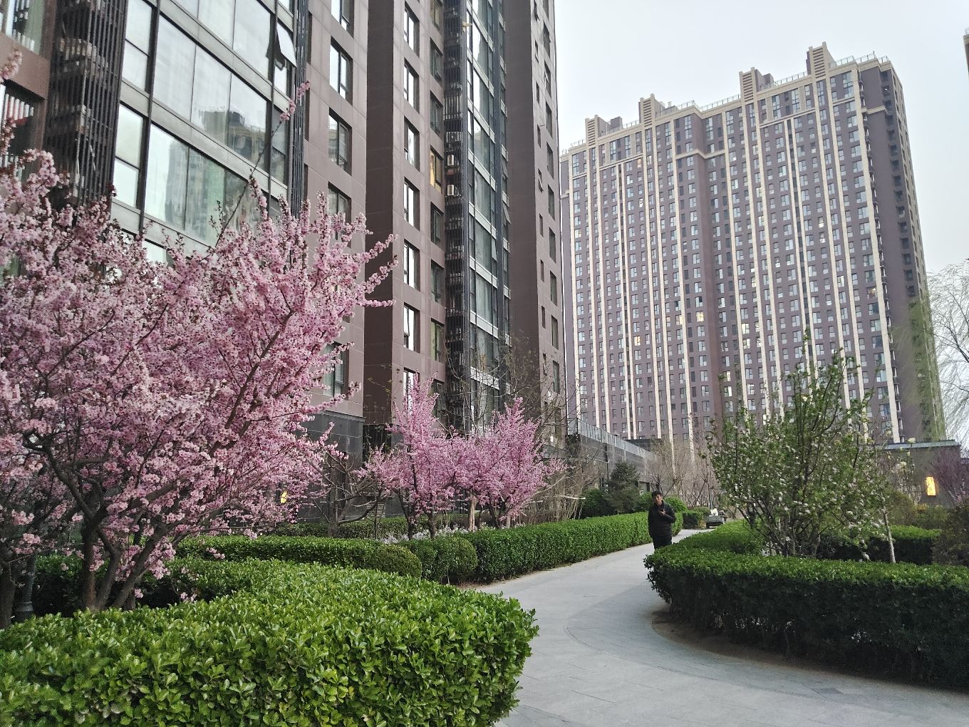 强佑清河新城府学上院 environment