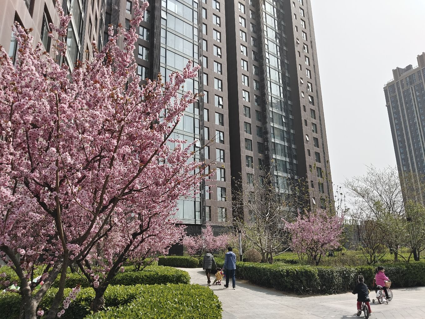 强佑清河新城府学上院 environment