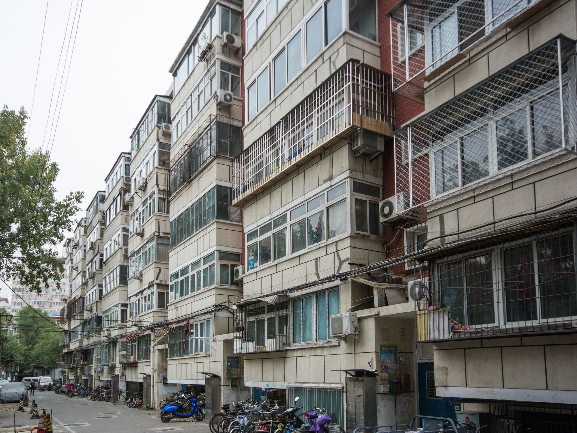 汽南小区 environment