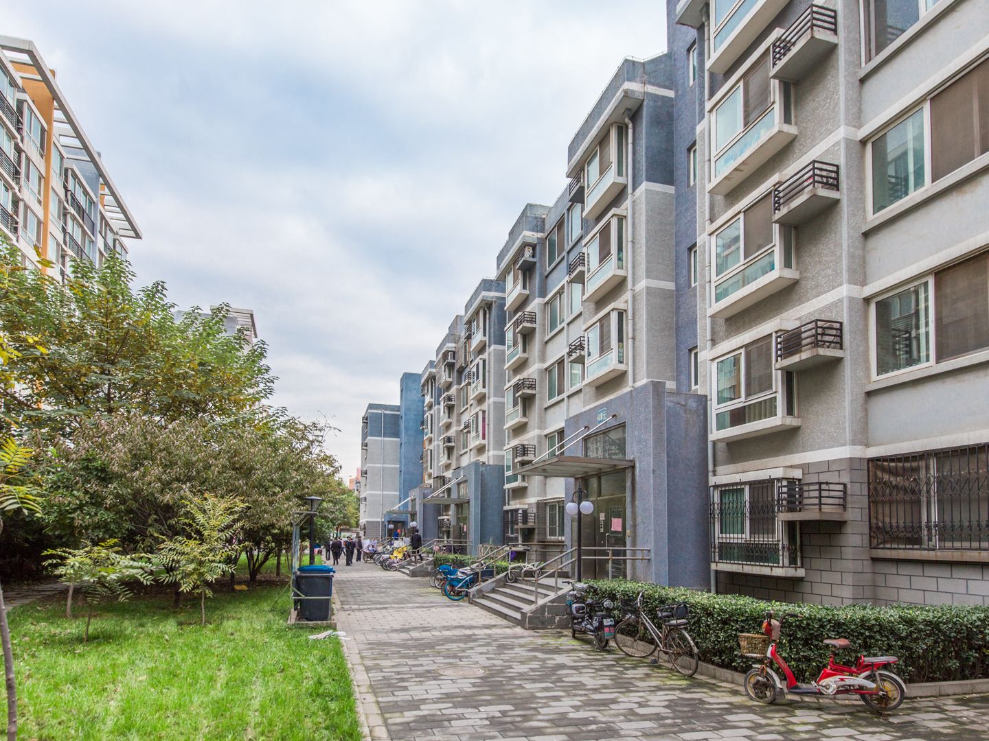 清上园 environment