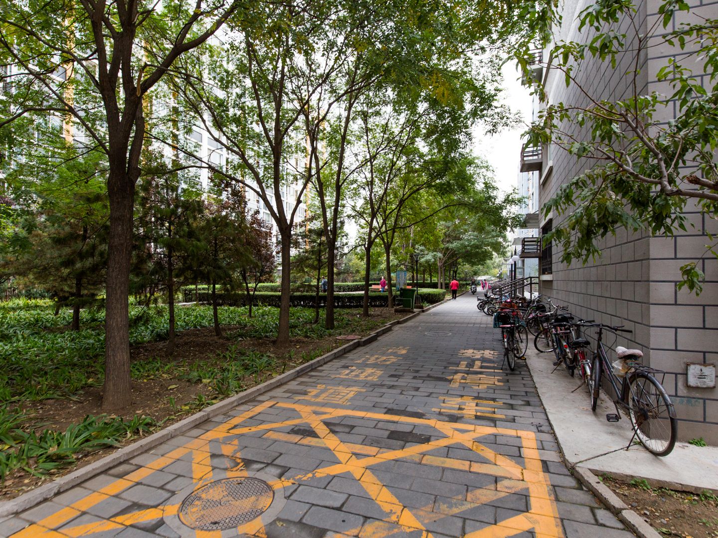 清上园 environment