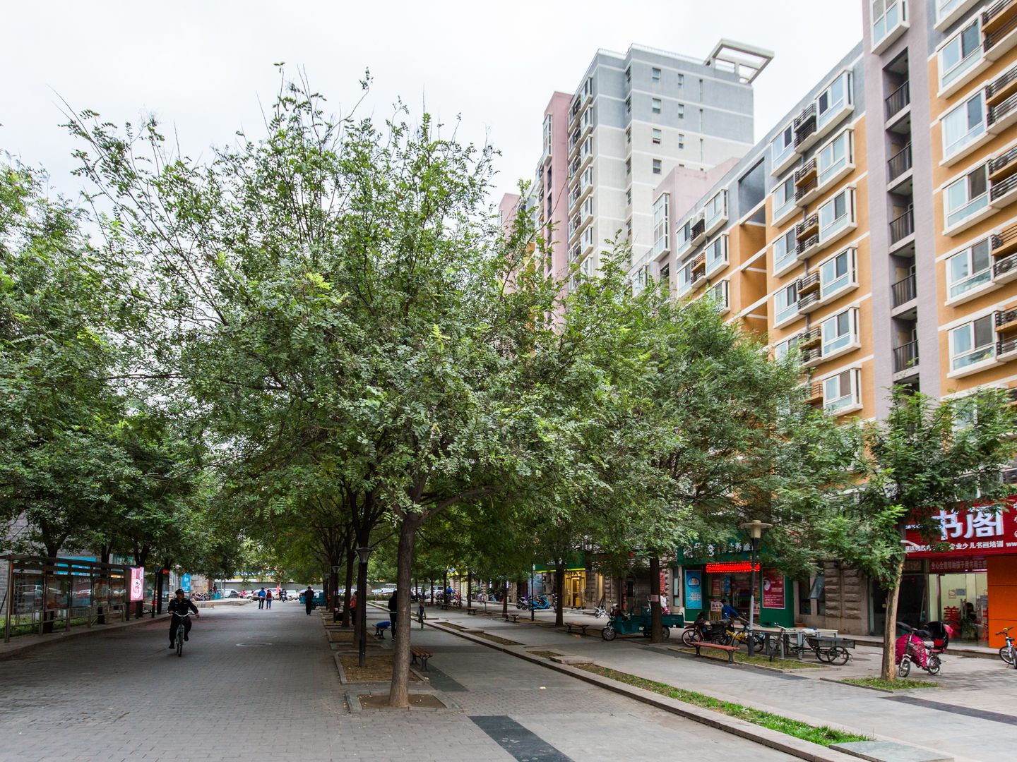 清上园 environment