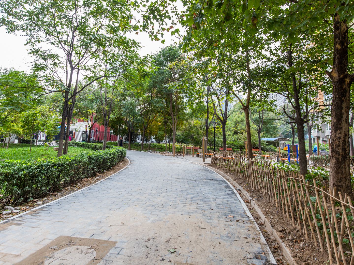 清上园 environment