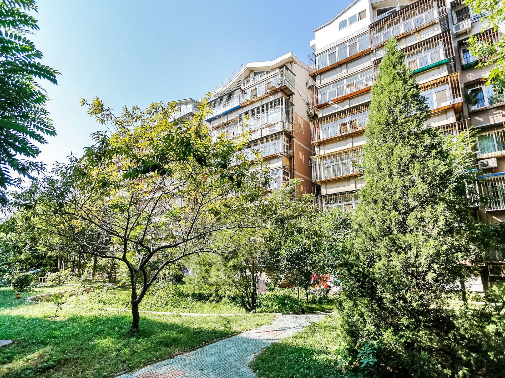 青塔东里 environment