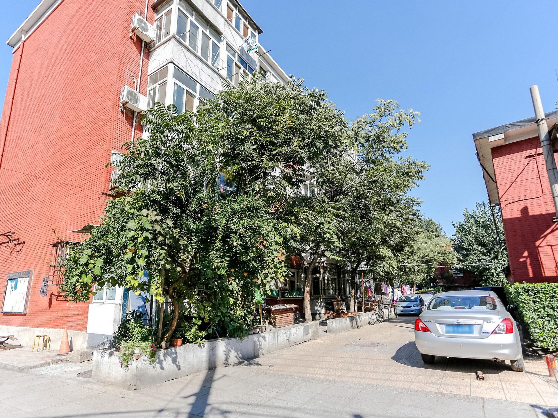 青塔东里 environment