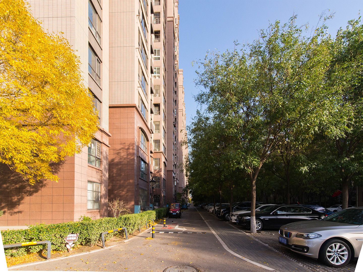 青秀雅苑 environment