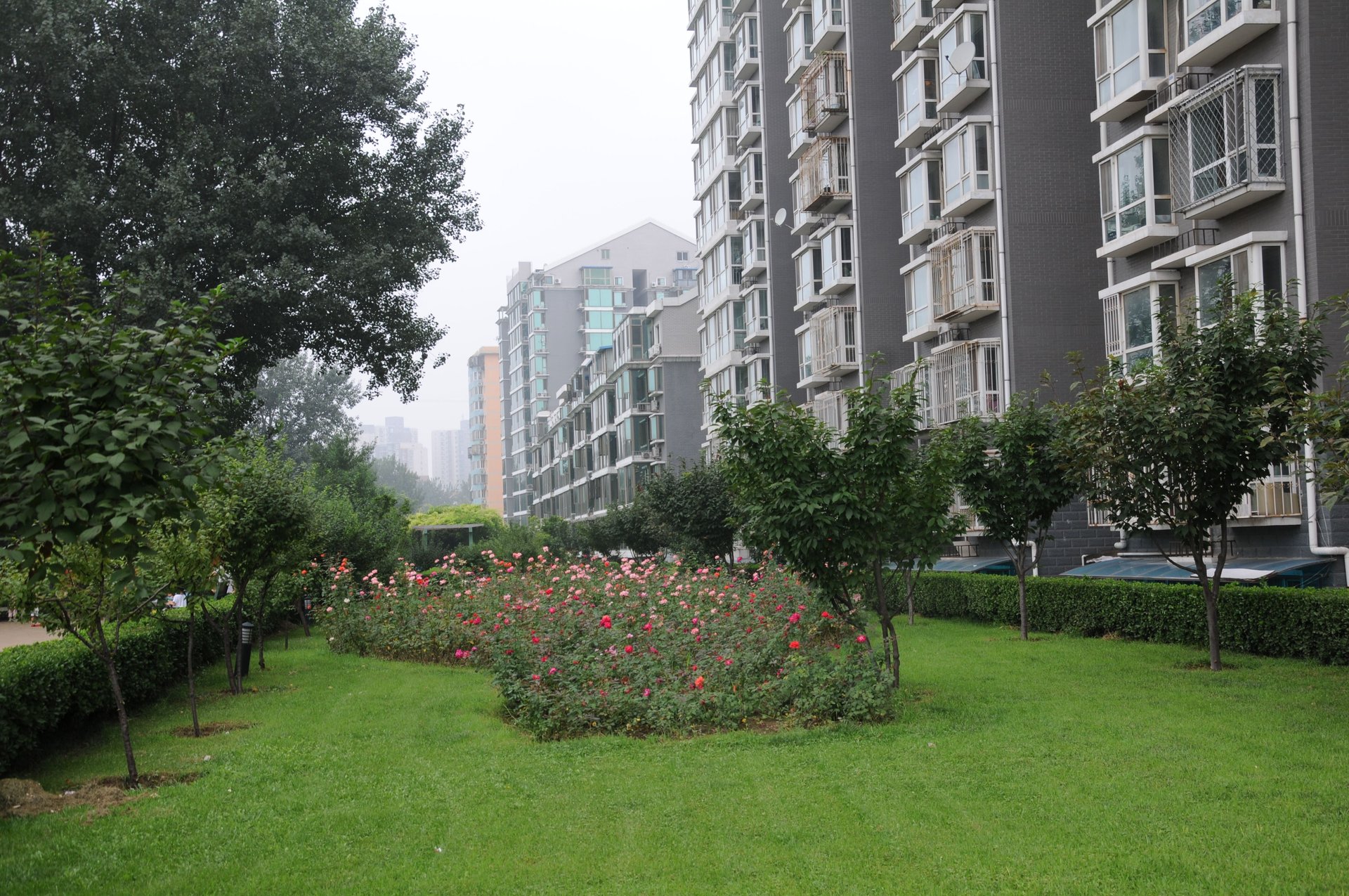 清缘东里 environment