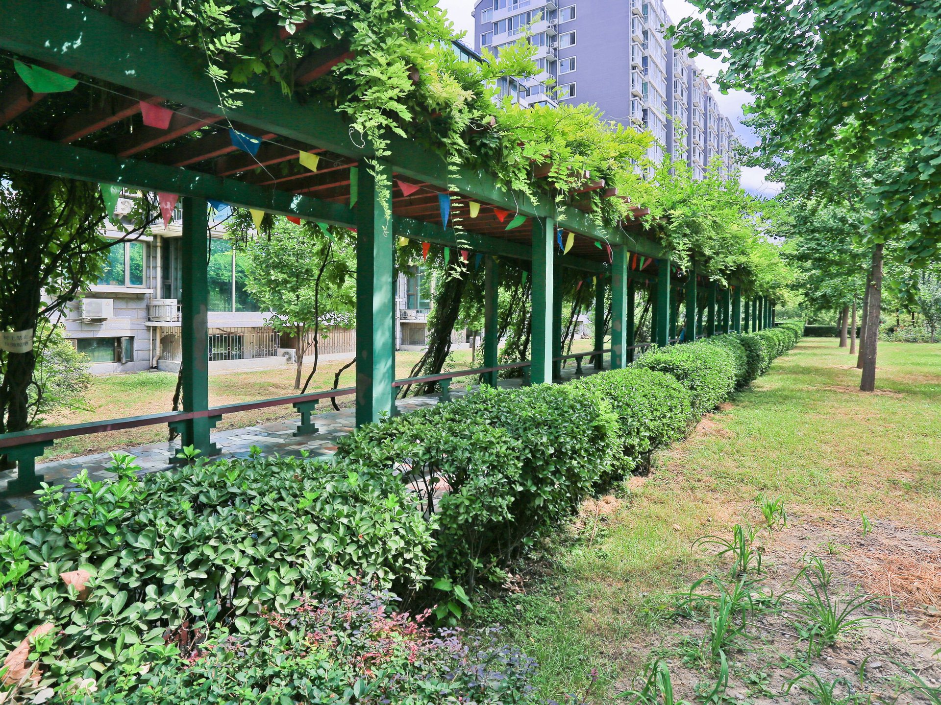 清缘东里 environment