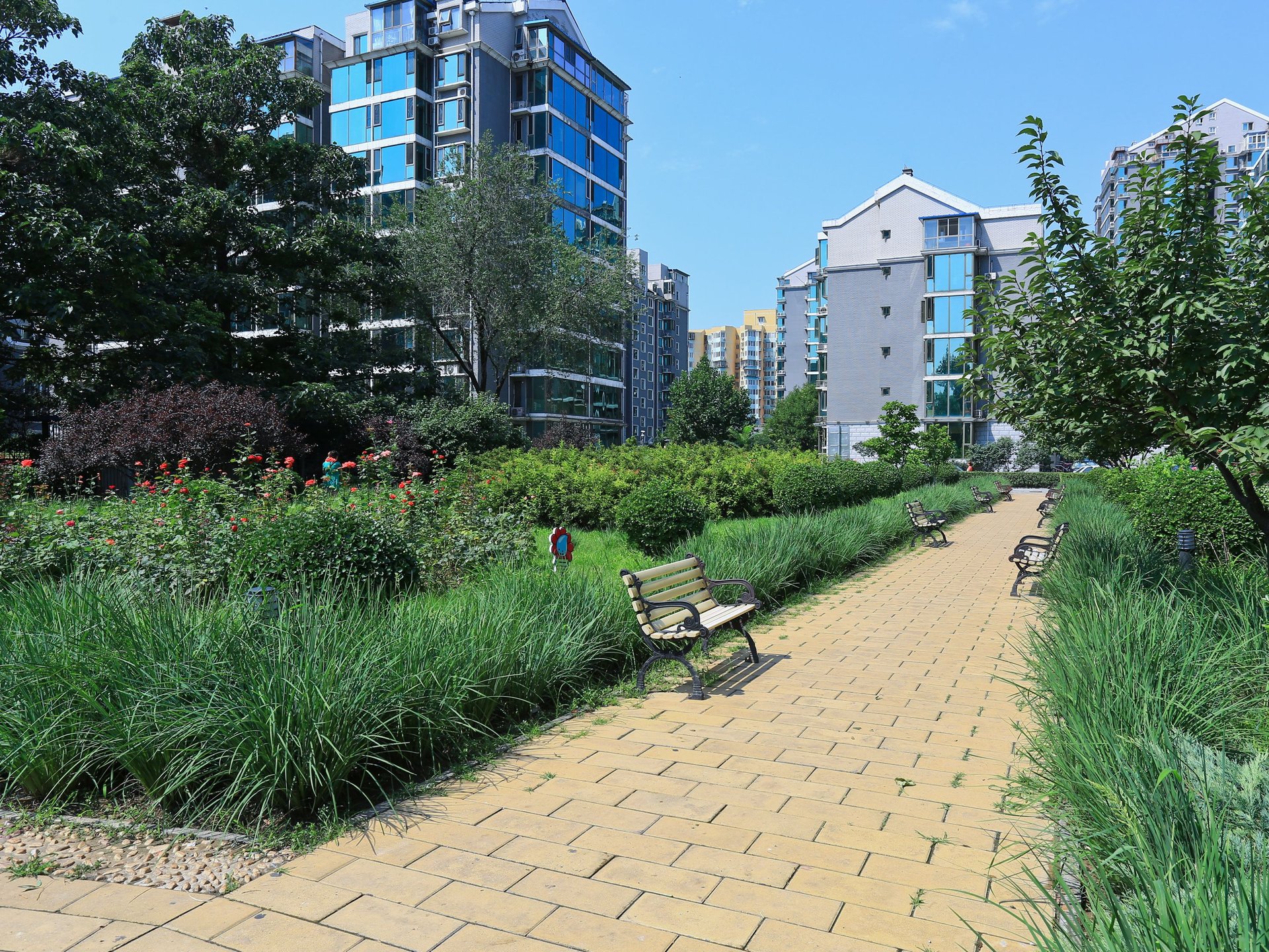 清缘东里 environment