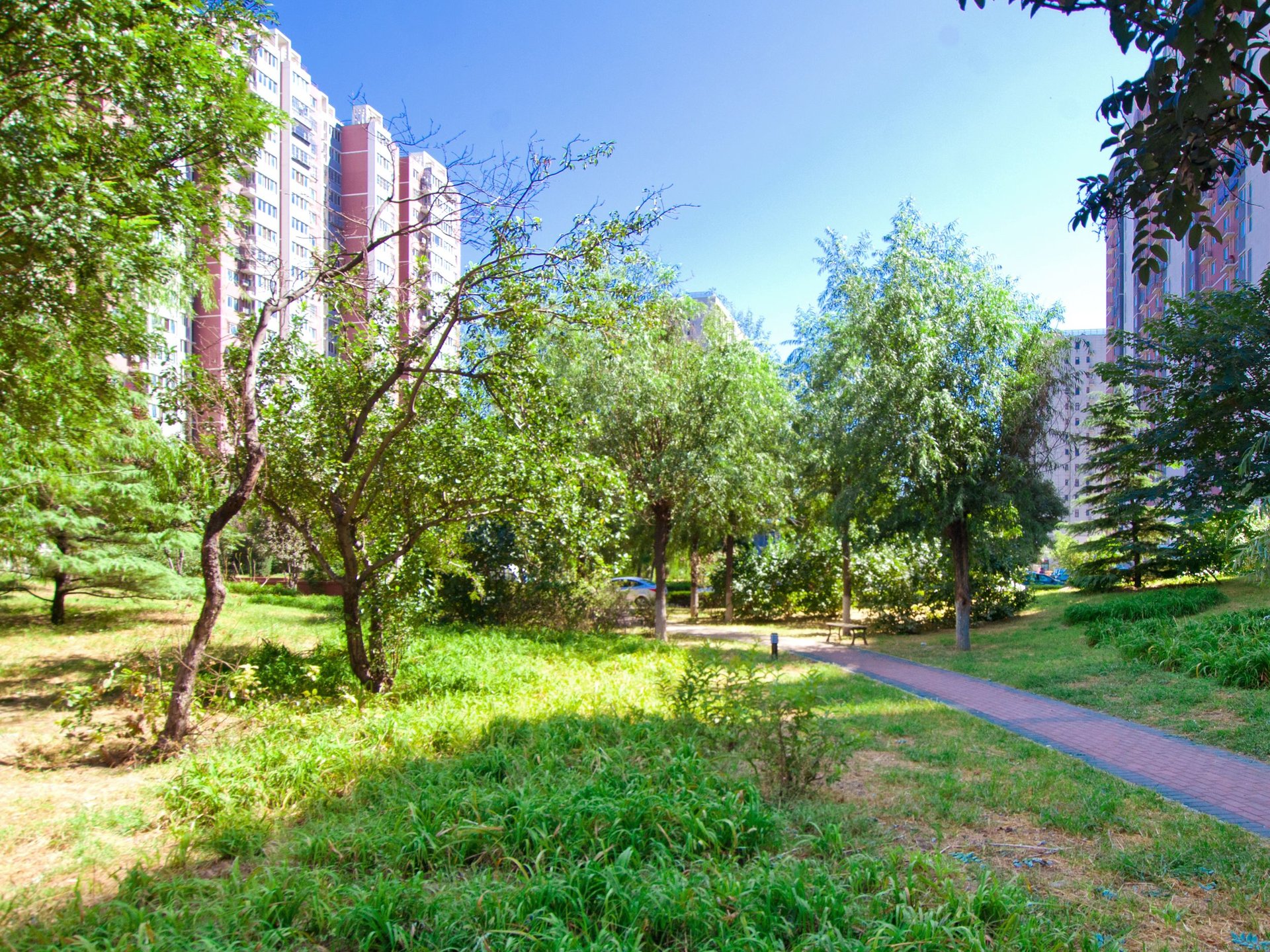 旗胜家园 environment