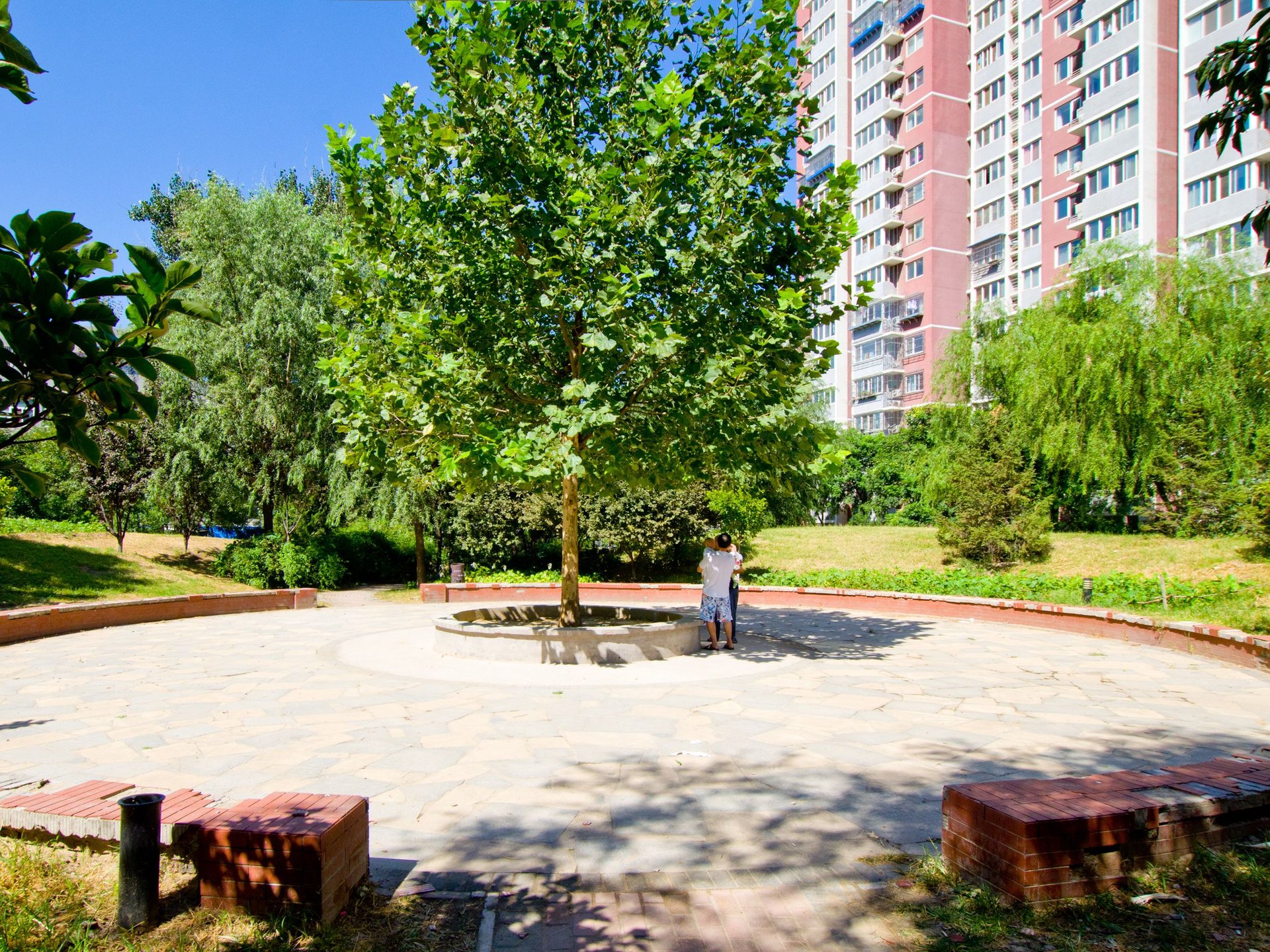 旗胜家园 environment