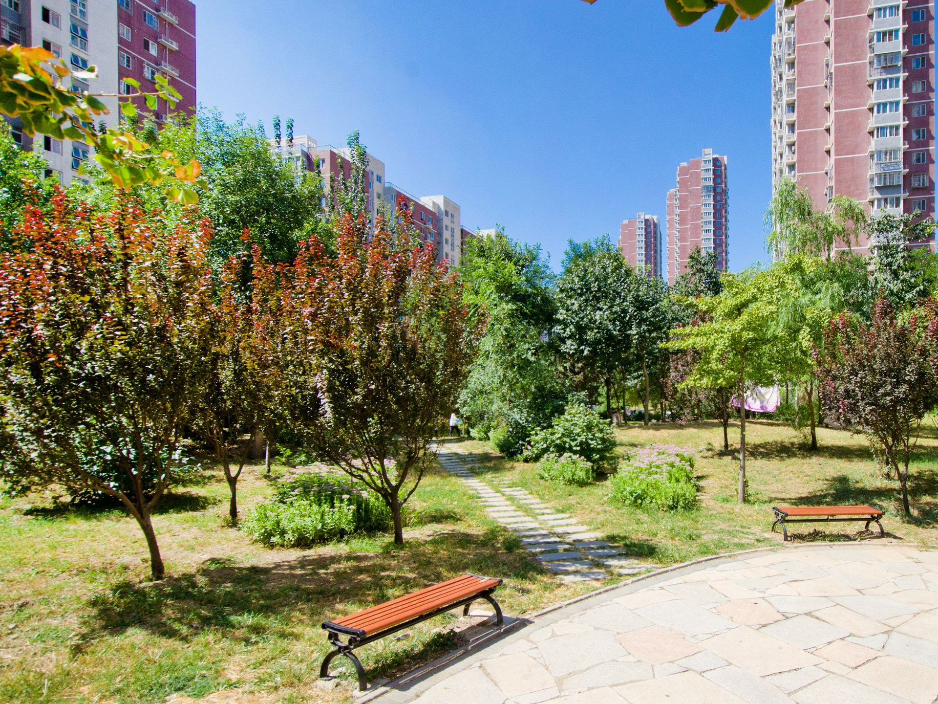 旗胜家园 environment