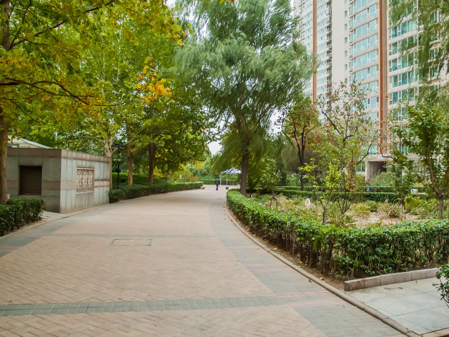 人济山庄 environment