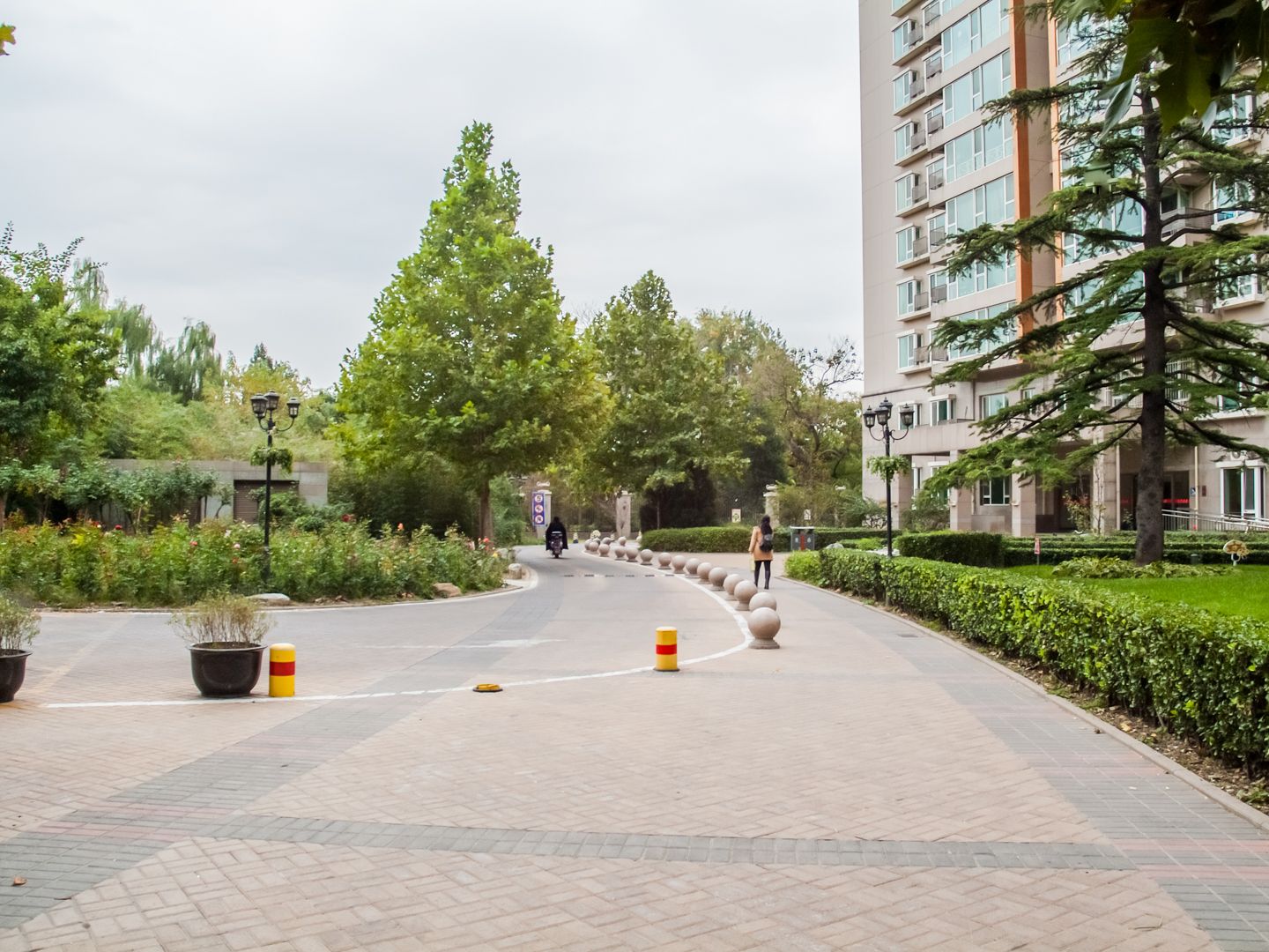 人济山庄 environment