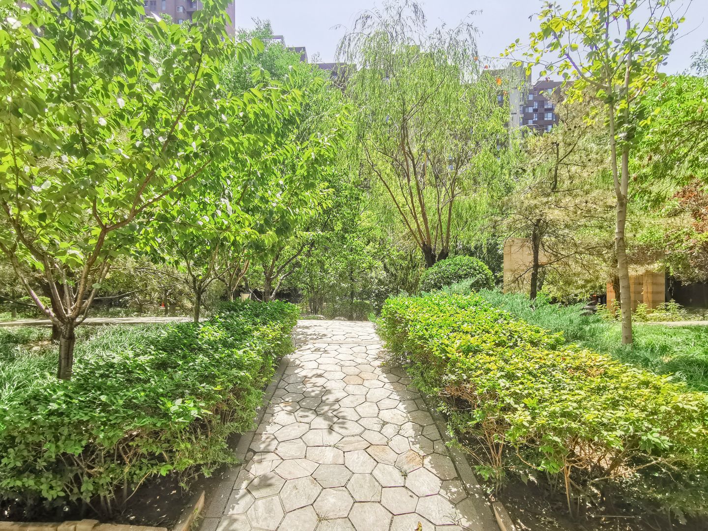 融科橄榄城二期 environment