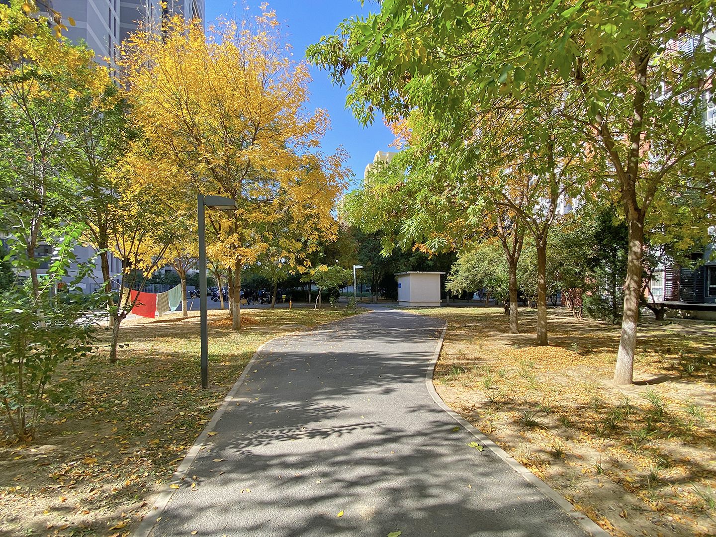 融泽嘉园中路1号院 environment