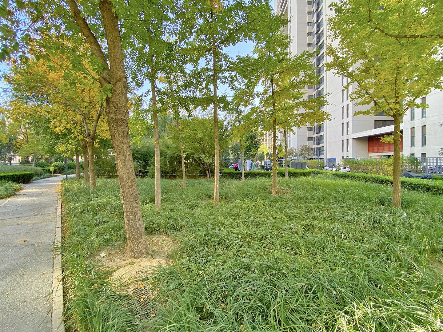 融泽嘉园中路2号院 environment