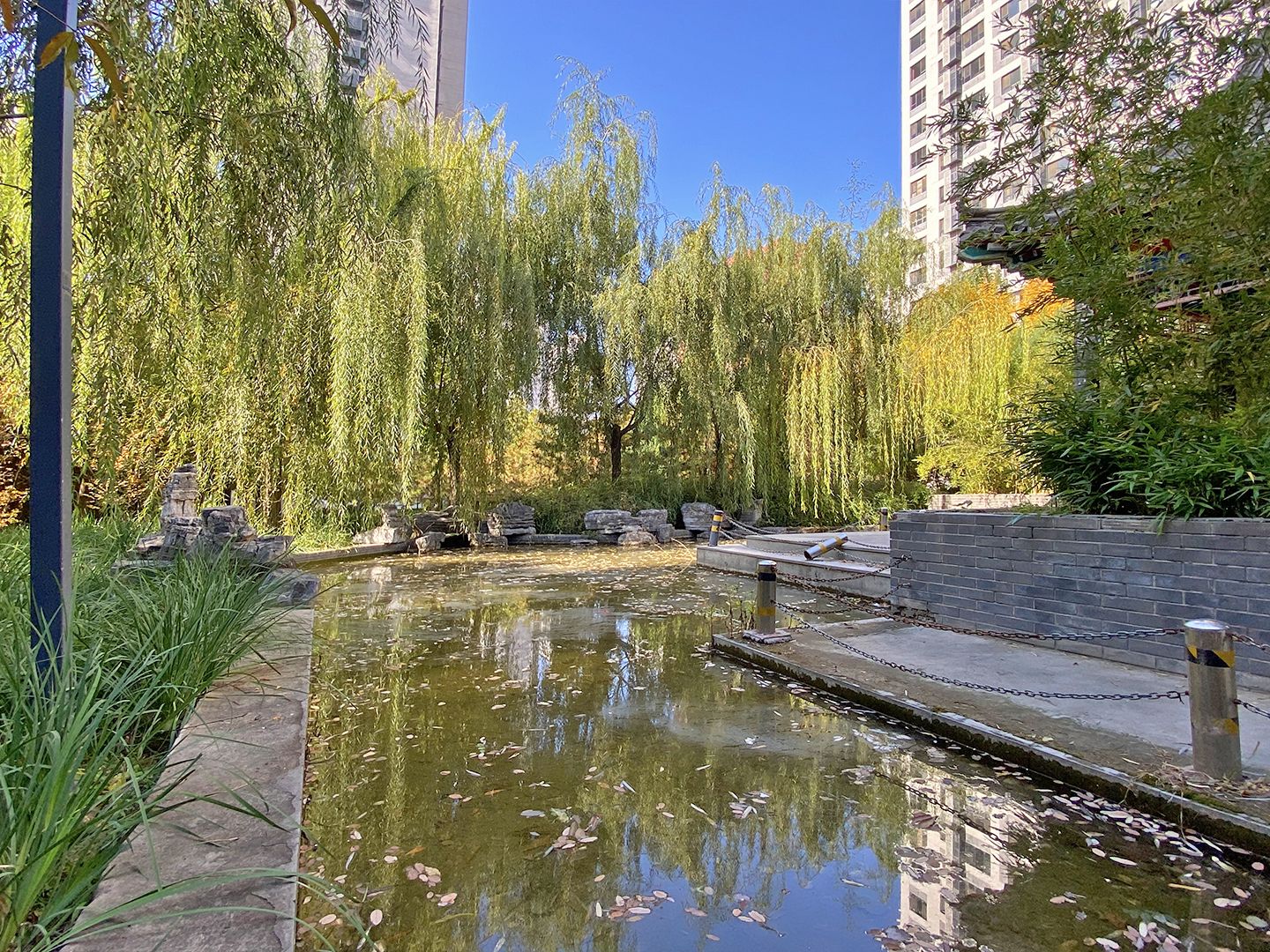 融泽嘉园中路2号院 environment