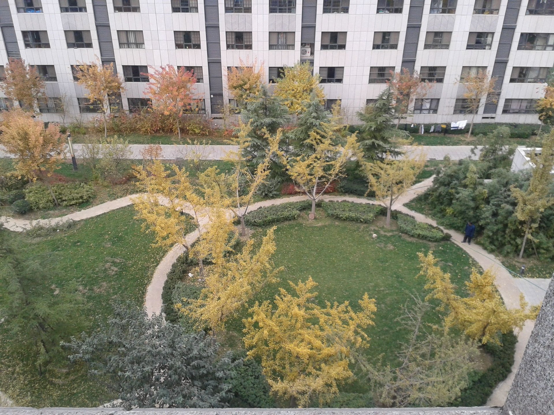 润枫锦尚 environment