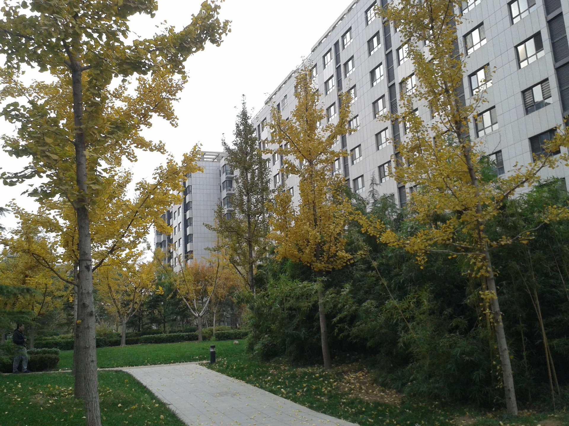 润枫锦尚 environment