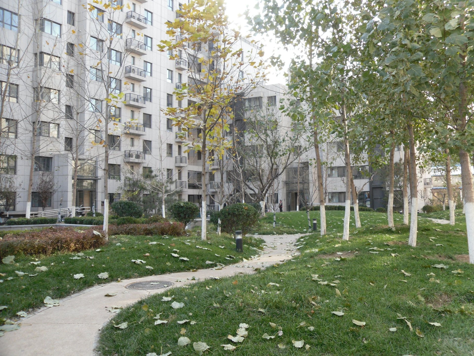 润枫锦尚 environment