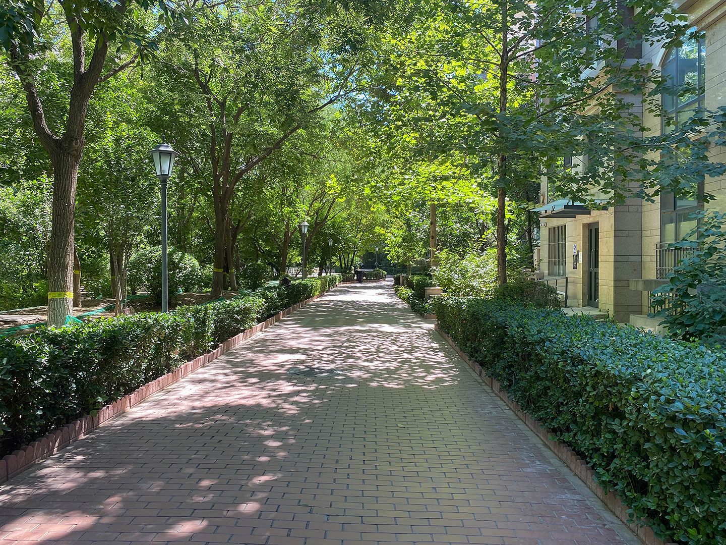 润泽悦溪 environment