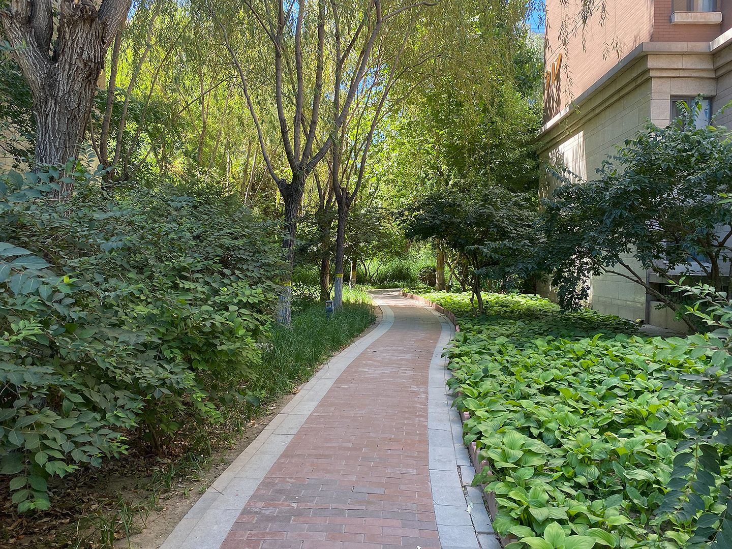 润泽悦溪 environment