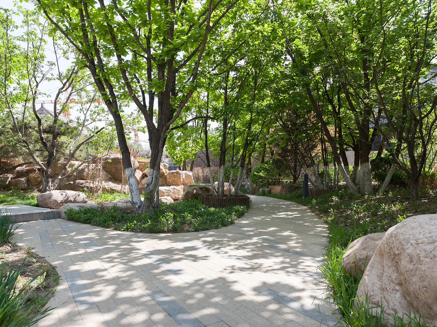 如园北区 environment