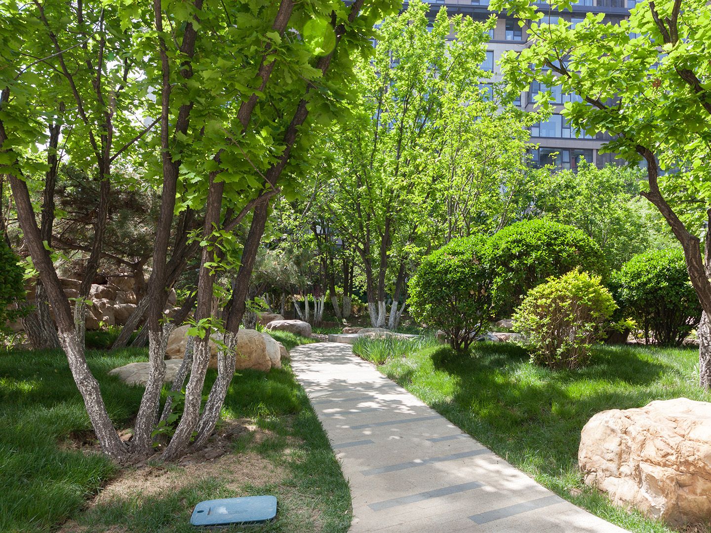 如园北区 environment